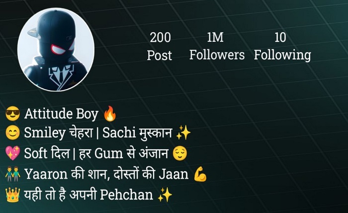 इंस्टाग्राम बायो इन हिंदी attitude boy